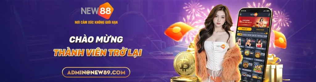 Tầm Quan Trọng Của Link Mới Sodo14